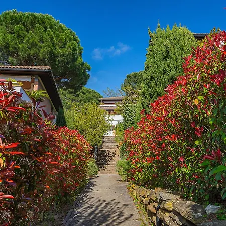 アパート Les Terrasses De Cavaliere Ii By Interhome ル・ラヴァンドゥー